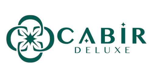 Wox Teknoloji Yazılım Logo Görseli